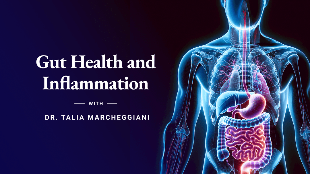 Course Dr. Talia - Course 3: Gut Health and Inflammation