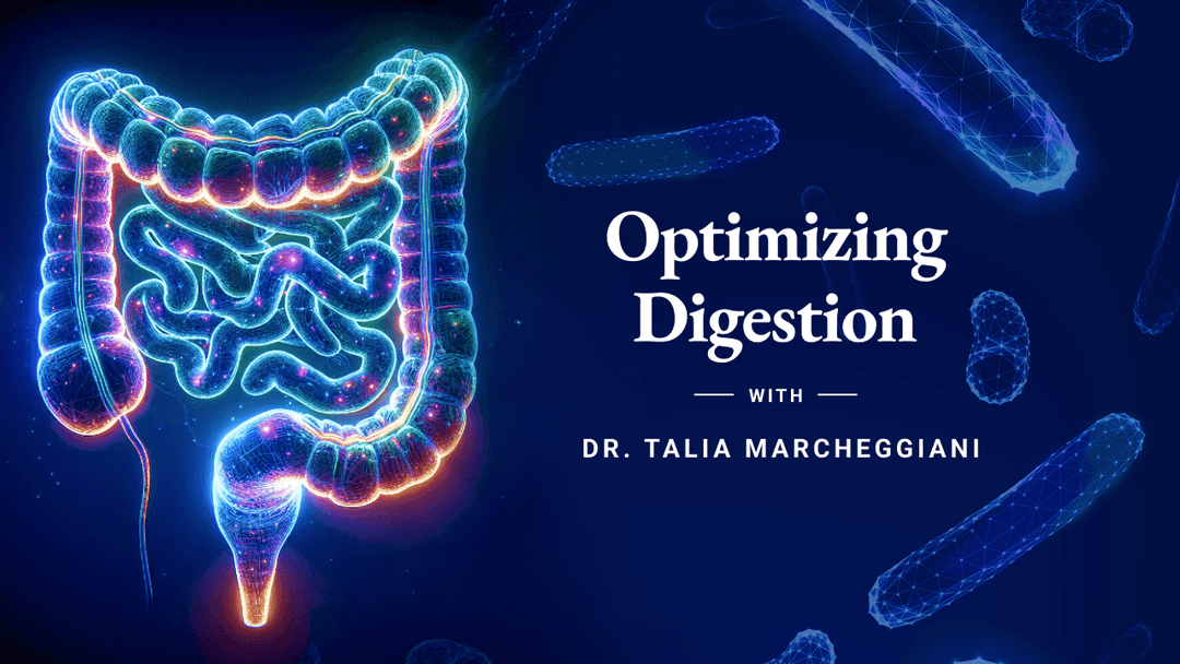 Course Dr. Talia - Course 2: Optimizing Digestive Function