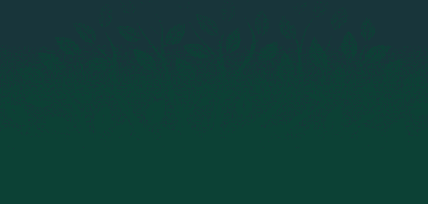A banner image